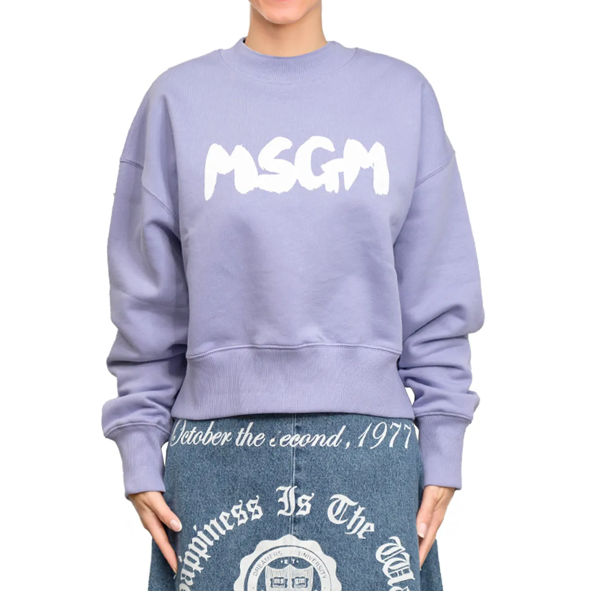 Msgm Brush Print Sweatshirt Lilac