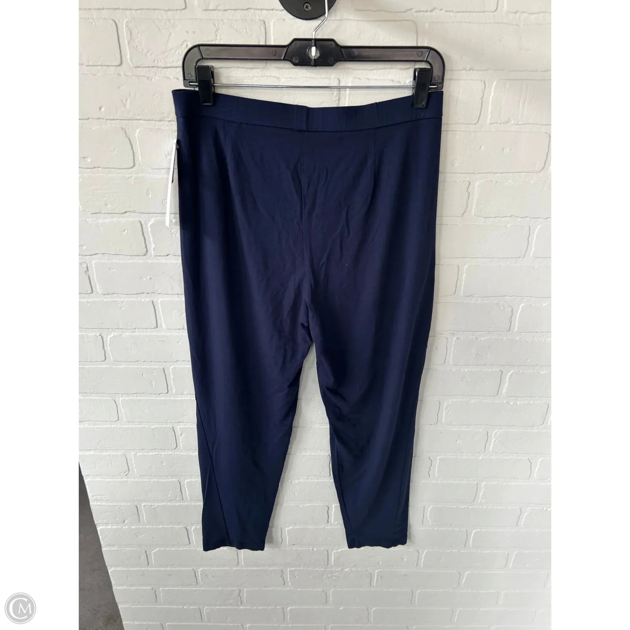Pants Lounge By Eileen Fisher In Blue, Size: 8p
