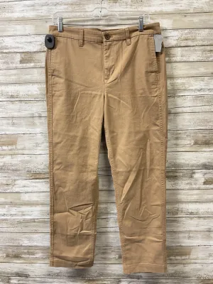 Pants Other By J. Crew In Tan, Size:8