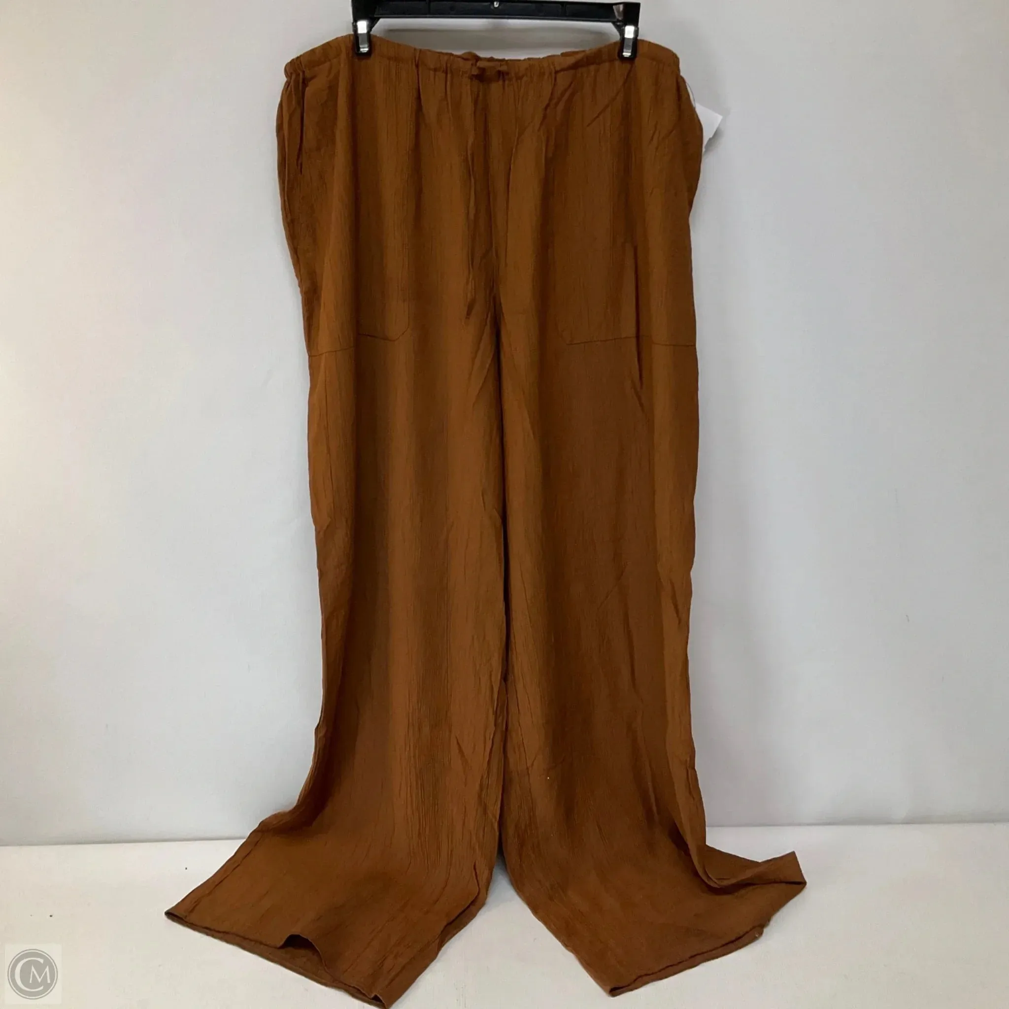 Pants Other By Zara In Brown, Size: Xl