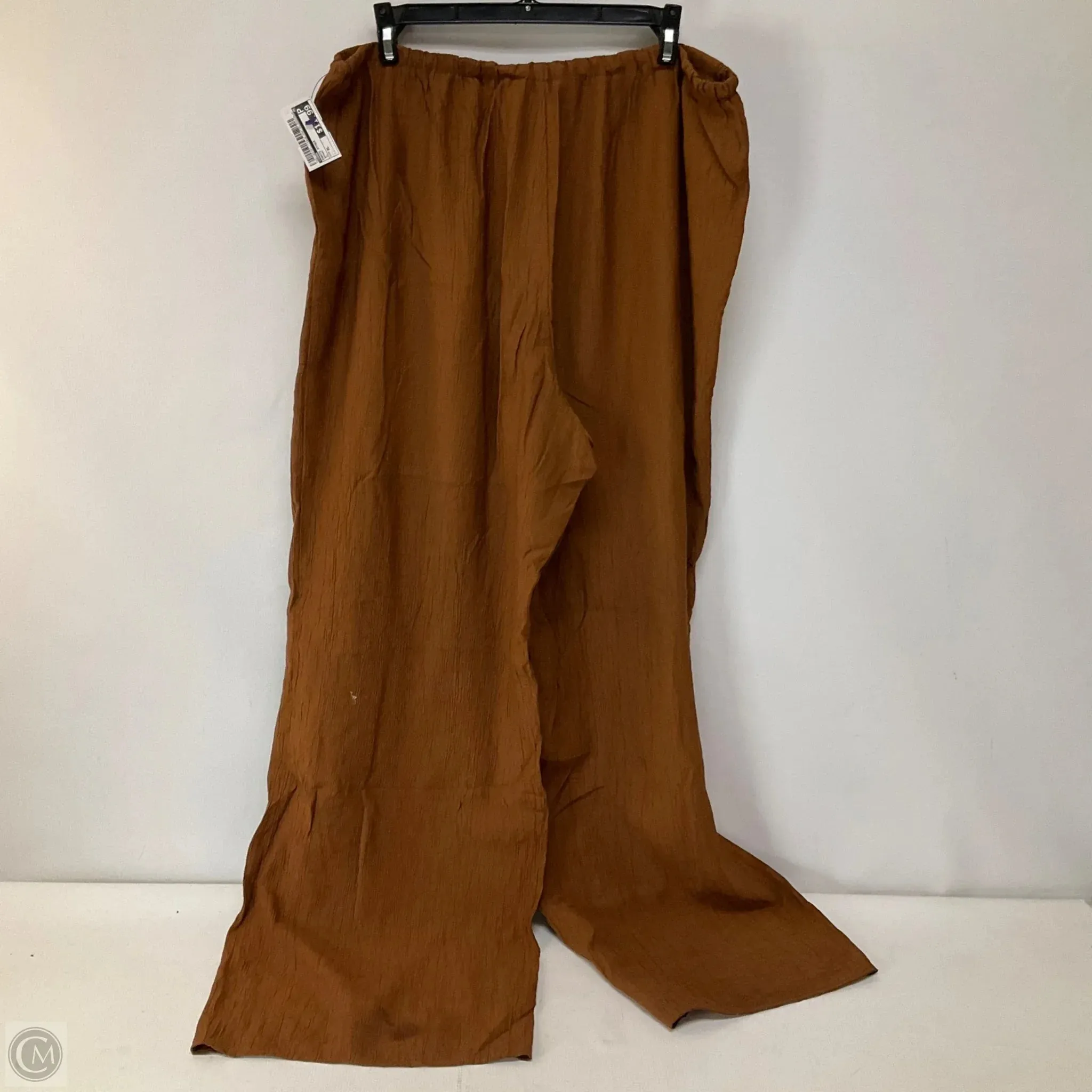 Pants Other By Zara In Brown, Size: Xl