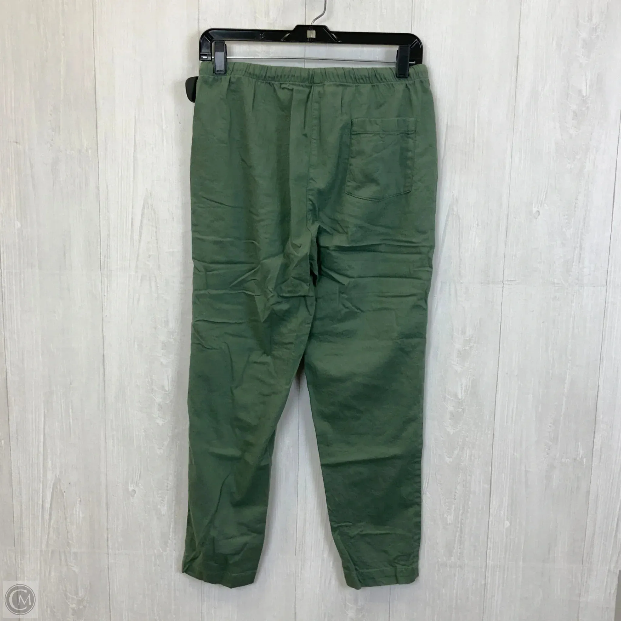 Pants Set 2pc By Eileen Fisher In Green, Size: Sp