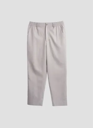 Polyester Regular Length Tapered Pants (P-14)