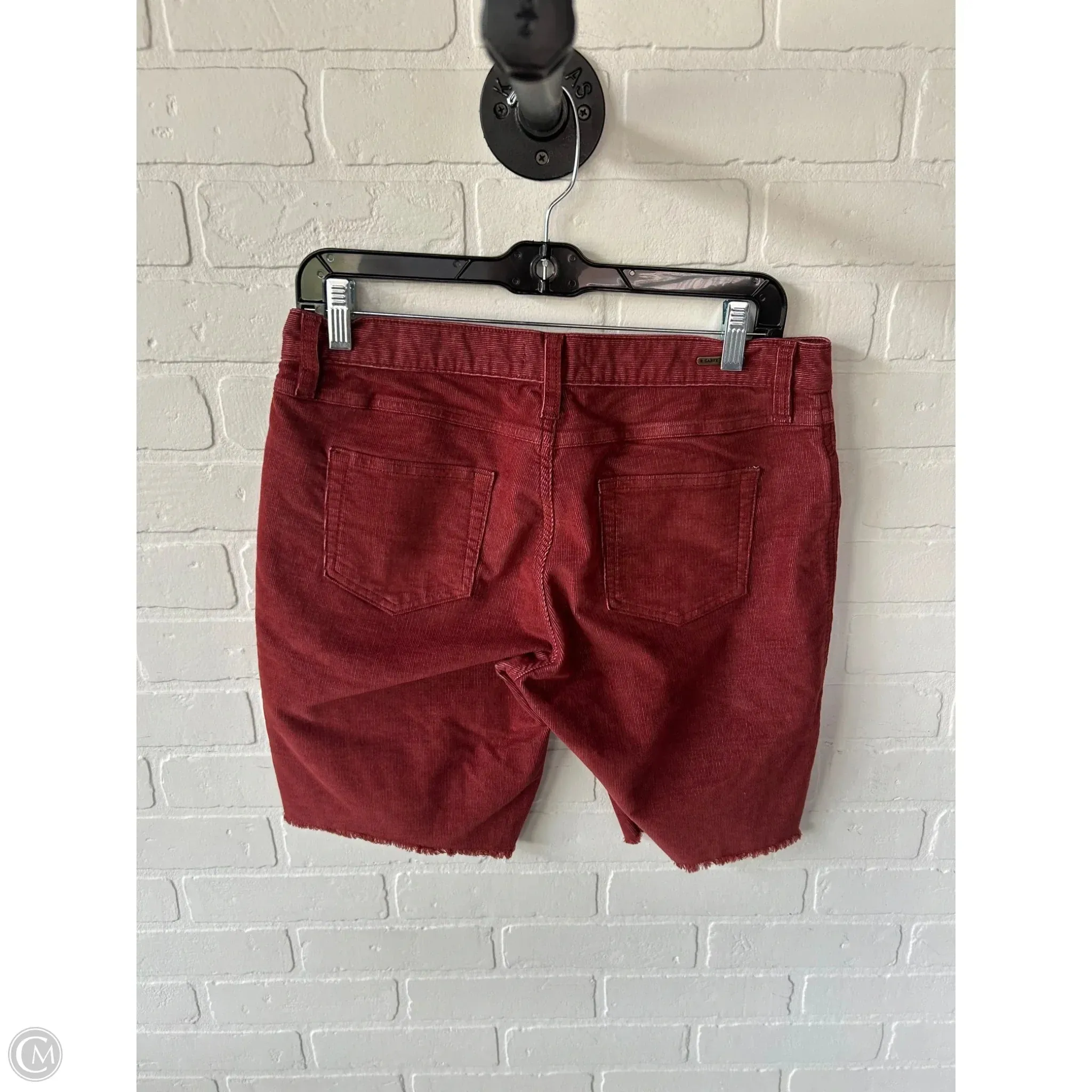 Shorts By Carve Designs In Brown, Size: 2