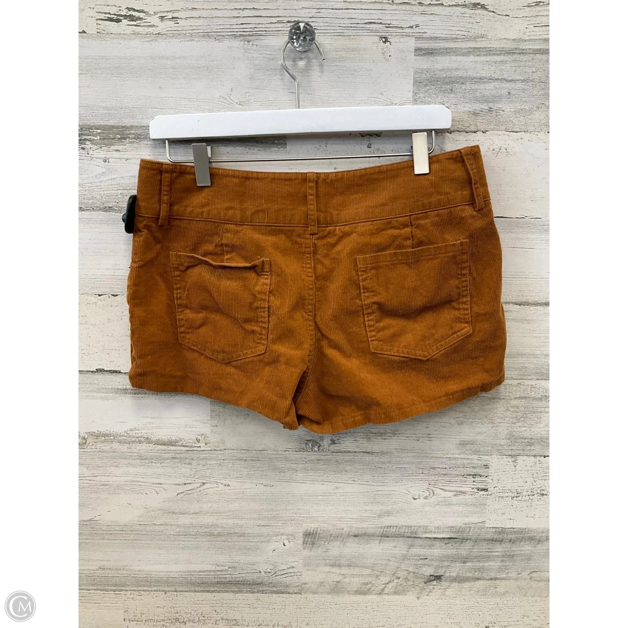 Shorts By Forever 21 In Gold, Size: L